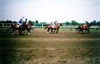 Finish Line