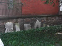 CIMG0849_fs