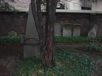 CIMG0850_fs