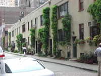 CIMG0879_fs