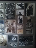 Many Photos and Photo Collages throughout the house