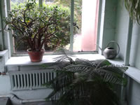 IMG_20130921_124811