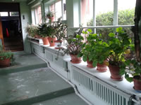 IMG_20130921_124816