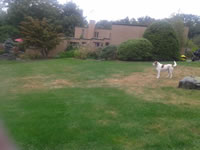 IMG_20130921_130447