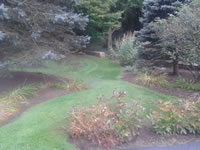The lawn