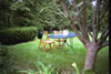 The Glade