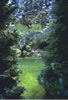 The Glade
