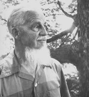 REX STOUT