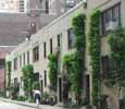 Washinton Mews